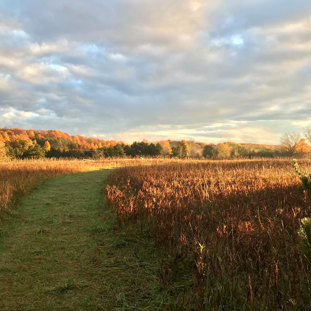 Meet your Posher, Tess